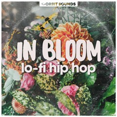 In Bloom - lo-fi hip hop (Demo)