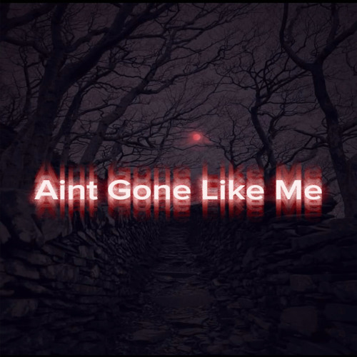 K4REA-Aint Gone Like Me