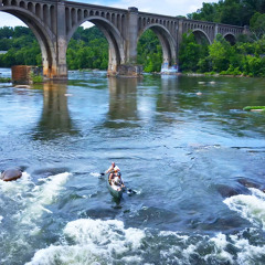 In the Dead of Night