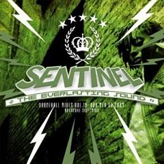 Sentinel Sound - Dancehall Mix Vol 19 - Dancehall Selection - Nuh Tek No Chat [2010]