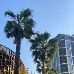 ‎⁨ماجد المهندس- رفوف الذكريات⁩