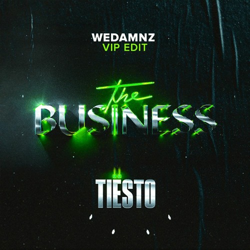 Tiësto - The Business (WeDamnz VIP Edit)