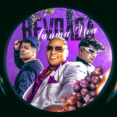 Revoada Tá Uma Uva (feat. MC Ryan SP)
