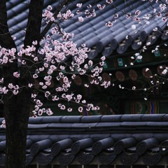 Castle Of Night Sky(LG 벨소리 'Night sky' 원곡)