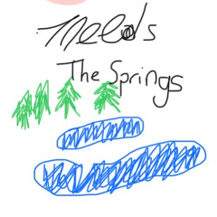 Simpler Complex - The Springs