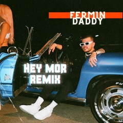 Ozuna & Feid - Hey Mor (Fermin Daddy House Remix)