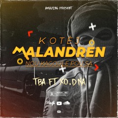 Kotej Malandren By TBA X XO DNA