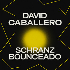 Schranz Bounceado Rave Mix 2025 ⚡ - David Caballero