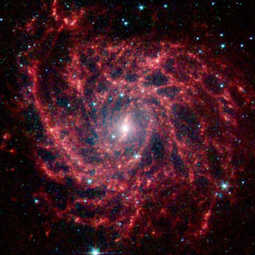 Nebula Drift