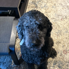 DJ FLAV, DJ Vapor - March Madness Mix