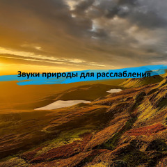 Тропический водопад и звук тропическом лесу