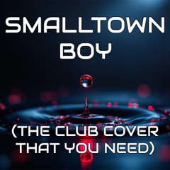 Pulse Meridian - Smalltown Boy (The Club Cover That You Need)