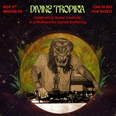 Divine Tropika | Live at Gymnopedie, Brooklyn NY Nov 11 2023