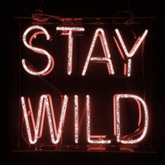 Stay Wild III