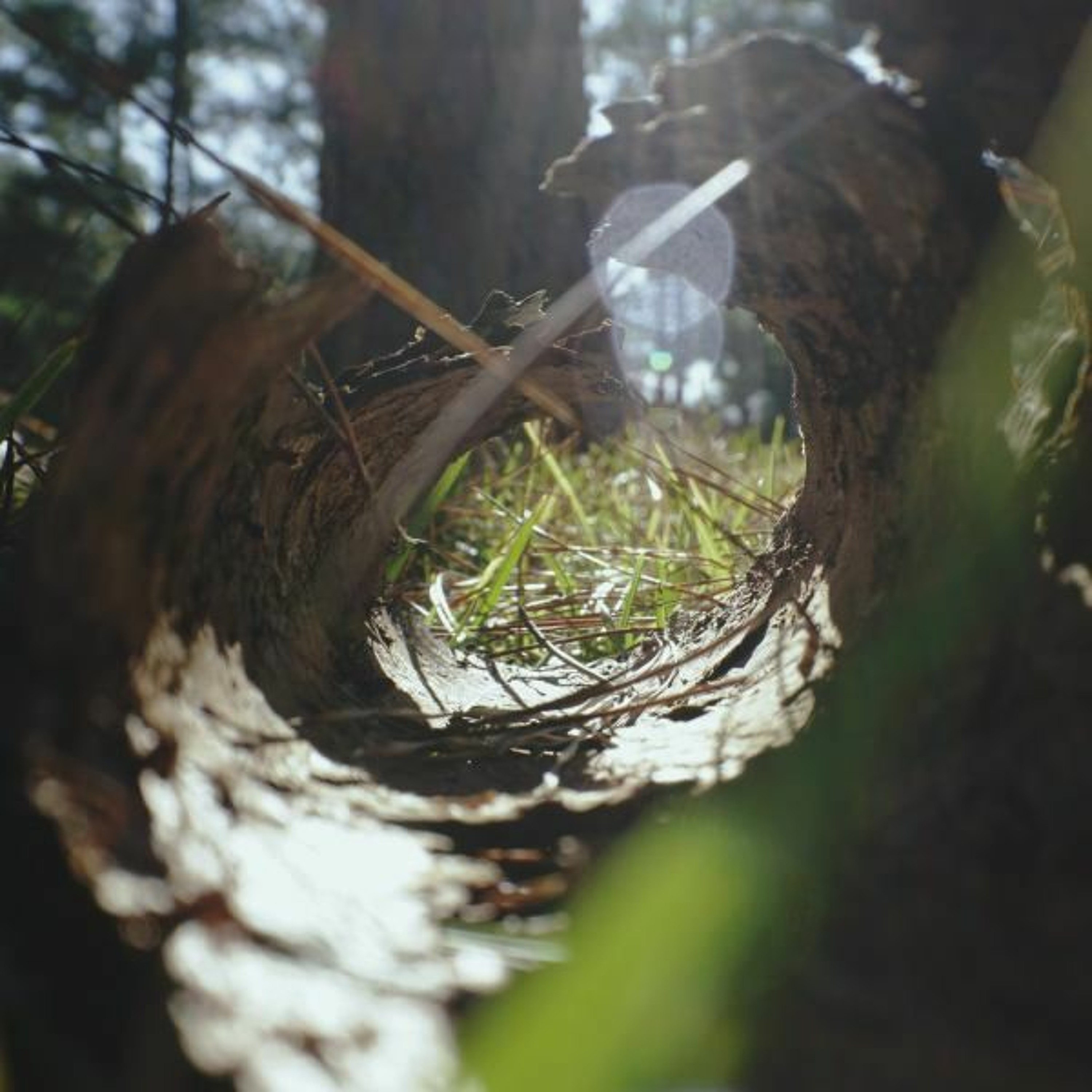 Listen and Understand - Reawakenings cd4 track 16 episode artwork