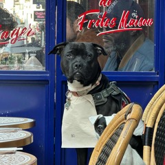 KREKLÝ HEDKY - (prod. DomVendetta)