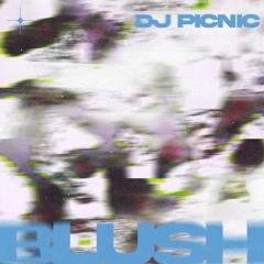 BLUSH024 - DJ Picnic