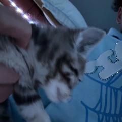 7 days a week (prod. @paidway.so)