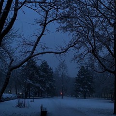 Winter arc