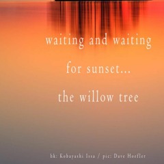 OneAmbient4 - Waiting And Waiting For Sunset...(Naviarhaiku 357)