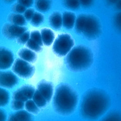 Mix | #005 | 10/Apr/2023 | LArA