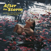 After The Storm feat Tyler The Creator amp Bootsy Collins After The Storm feat Tyler The Creator amp Bootsy Collins