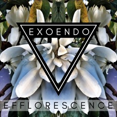 Efflorescence >>> The Ambient Mafia, Sunday Sundowns - Livestream 2021