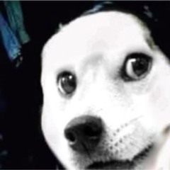 jeffdogejump_qaz