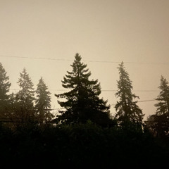 Ah Man, I Shot Marvin In The Face