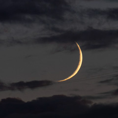 Please don't stay up too late v2