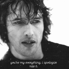 girl you're everything, i apologize [nile b.]