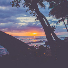 Trip towards The Sun [9/9]