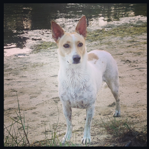 Main Quest: Finding La Nunupance!