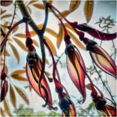 Gaston Fiore - A Cuenta De Que