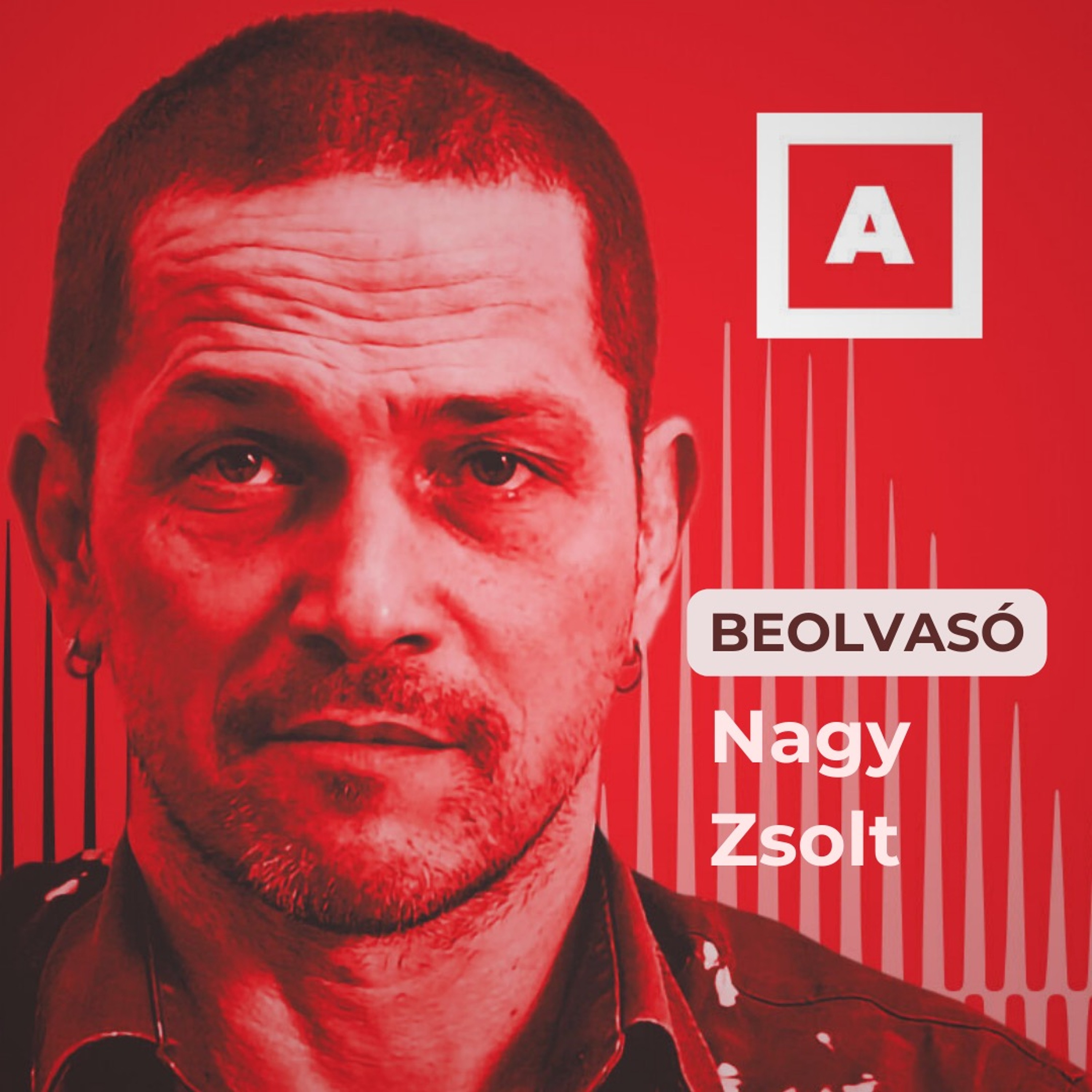 Beolvasó -  Hatályos környezethasználati engedély nélkül működik a gödi Samsung-gyár episode artwork