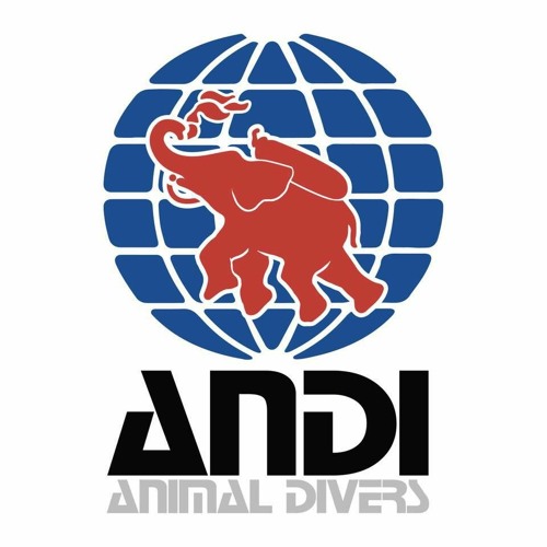 Animal Divers - Liveaboard (KIRARA Remix)