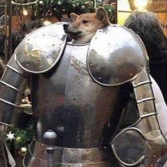 anti sex armor