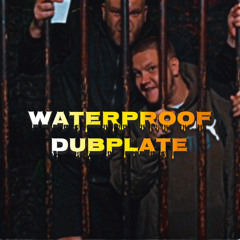BILLSKI Ft Producer Bear WaterproofSound Dubplate
