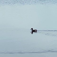 Tilixam Talk: Monty Herron, Part 1