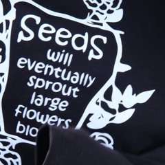 Seeds