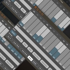 StepBud (Big Ben Variations)