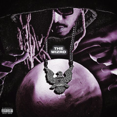 Future - You'll Never Understand It