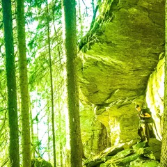 Sunshine in wilderness