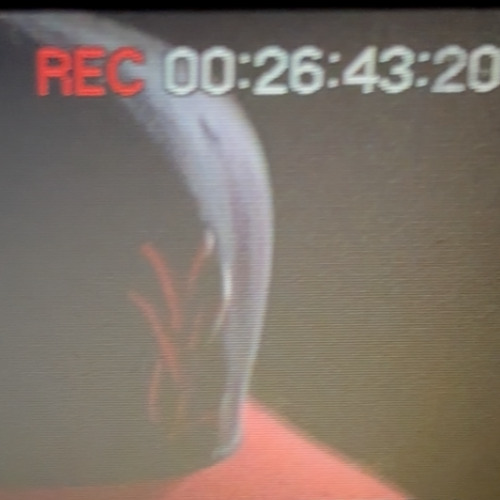 ilytxtwrld-SAMETIMING (UNRELEASED) PROD.F1LTHY X MYLES
