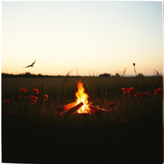 I Want Fire