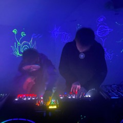 dresdnerkorgmusikanten im junglefieber