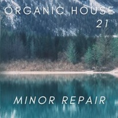ORGANICAMENTE 21 - Minor repair