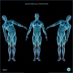 Anatomical Position 001