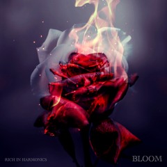 Rich In Harmonics - BLOOM (Original Mix) [FREE DL]