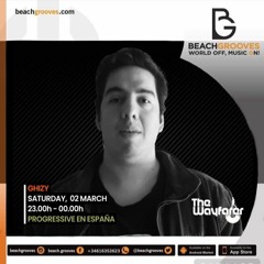 THE WAYFARER RADIOSHOW #46 - GUEST MIX GHIZY [BEACHGROOVES]